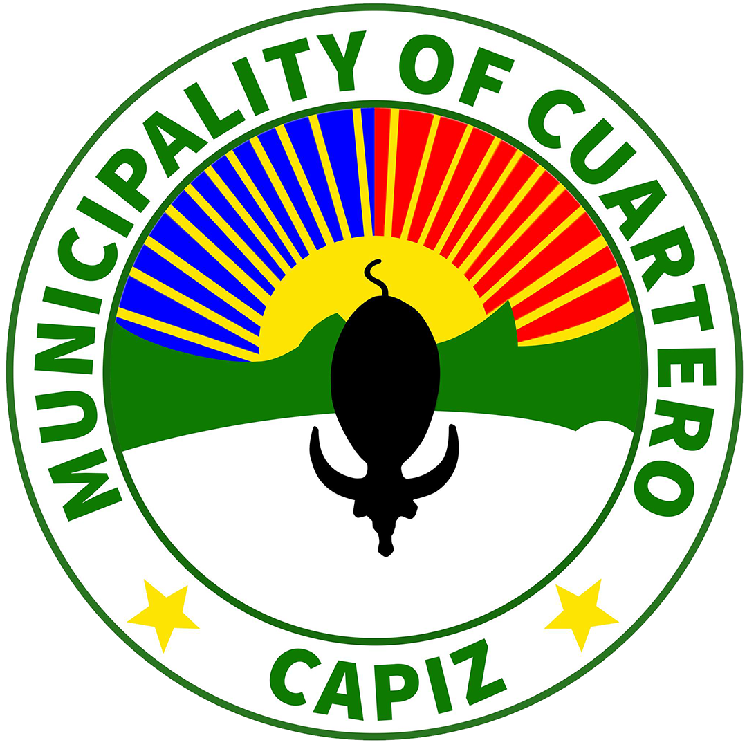 MDRRMO Logo