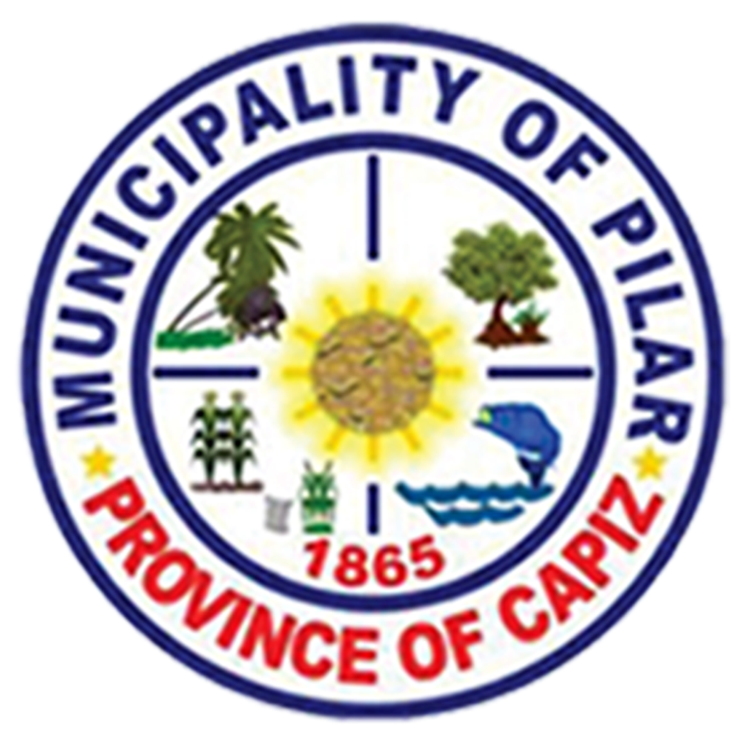 MDRRMO Logo